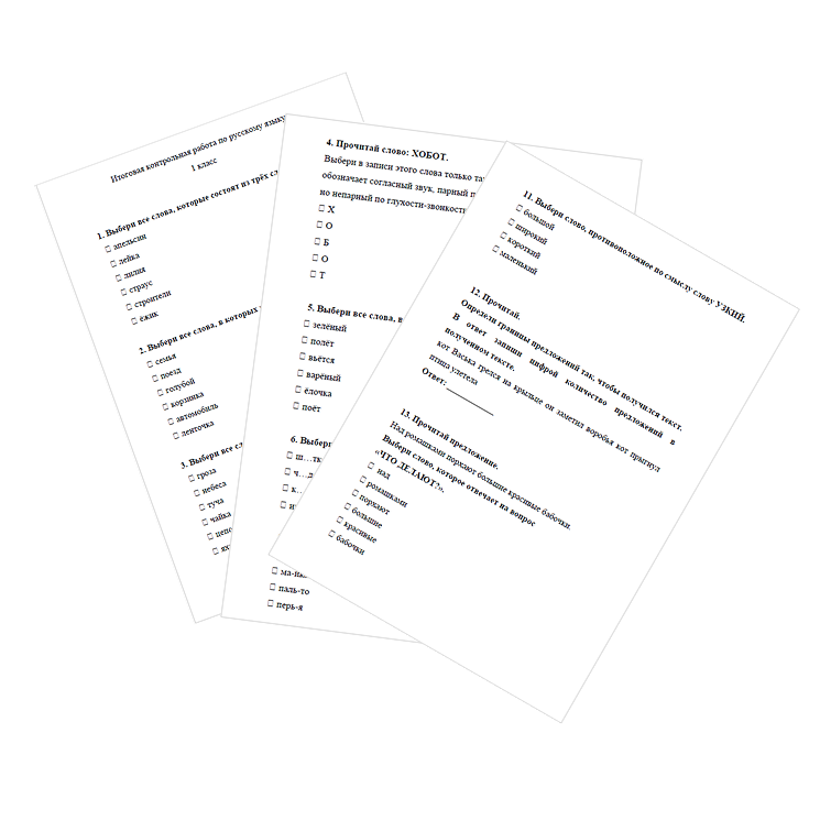 Контрольная работа. Русский язык. 1 класс