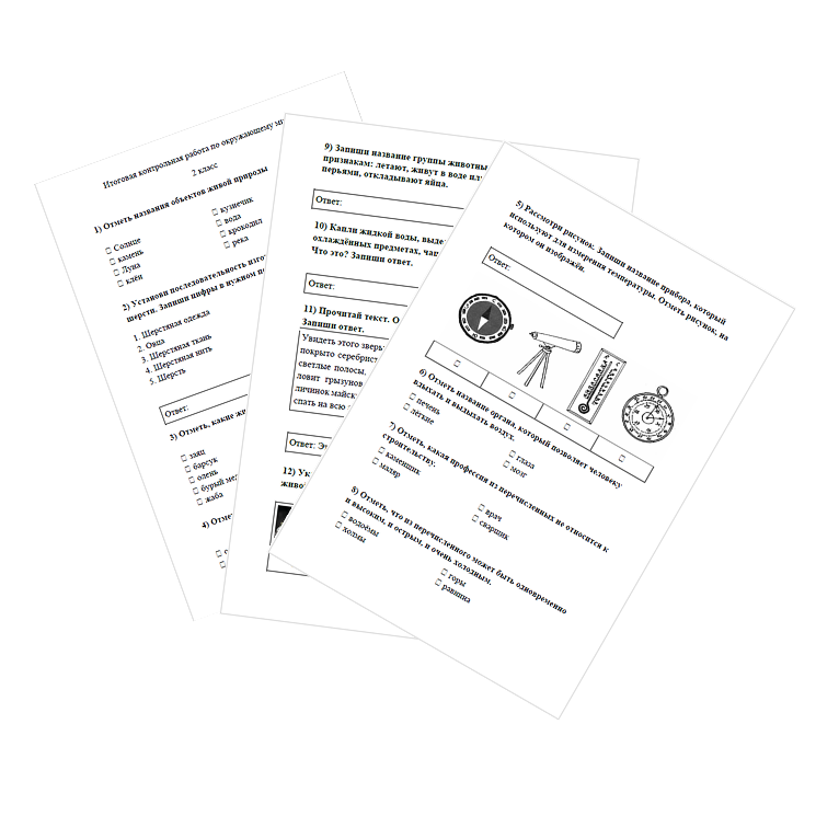Контрольная работа. Окружающий мир. 3 класс