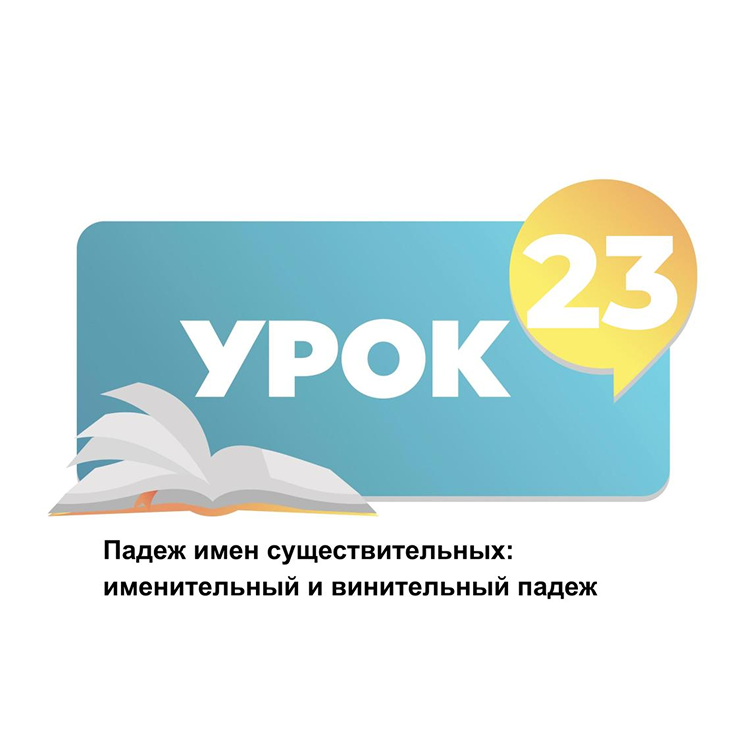 Тема 23. Падеж имен существительных: именительный и винительный падеж существительных
