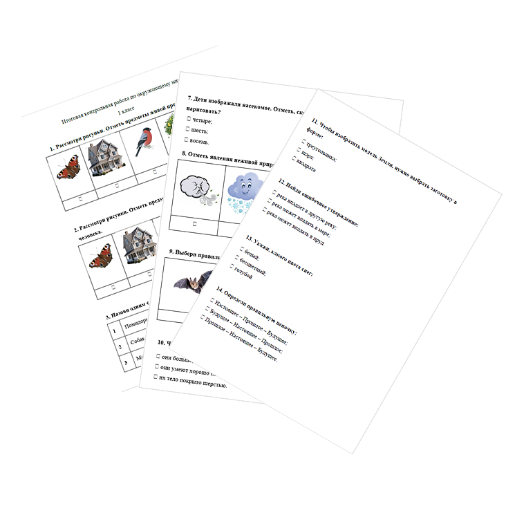 Контрольная работа. Окружающий мир. 1 класс